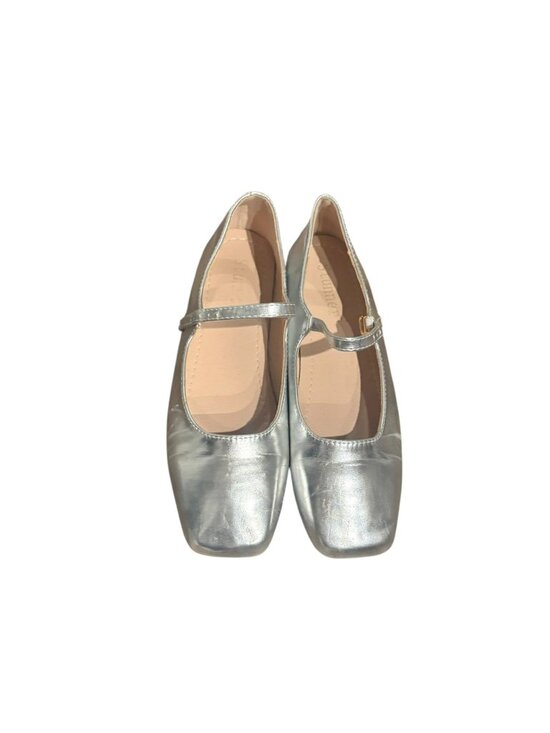 Stunner Shoes - Stunner Silver Ballet Shoes